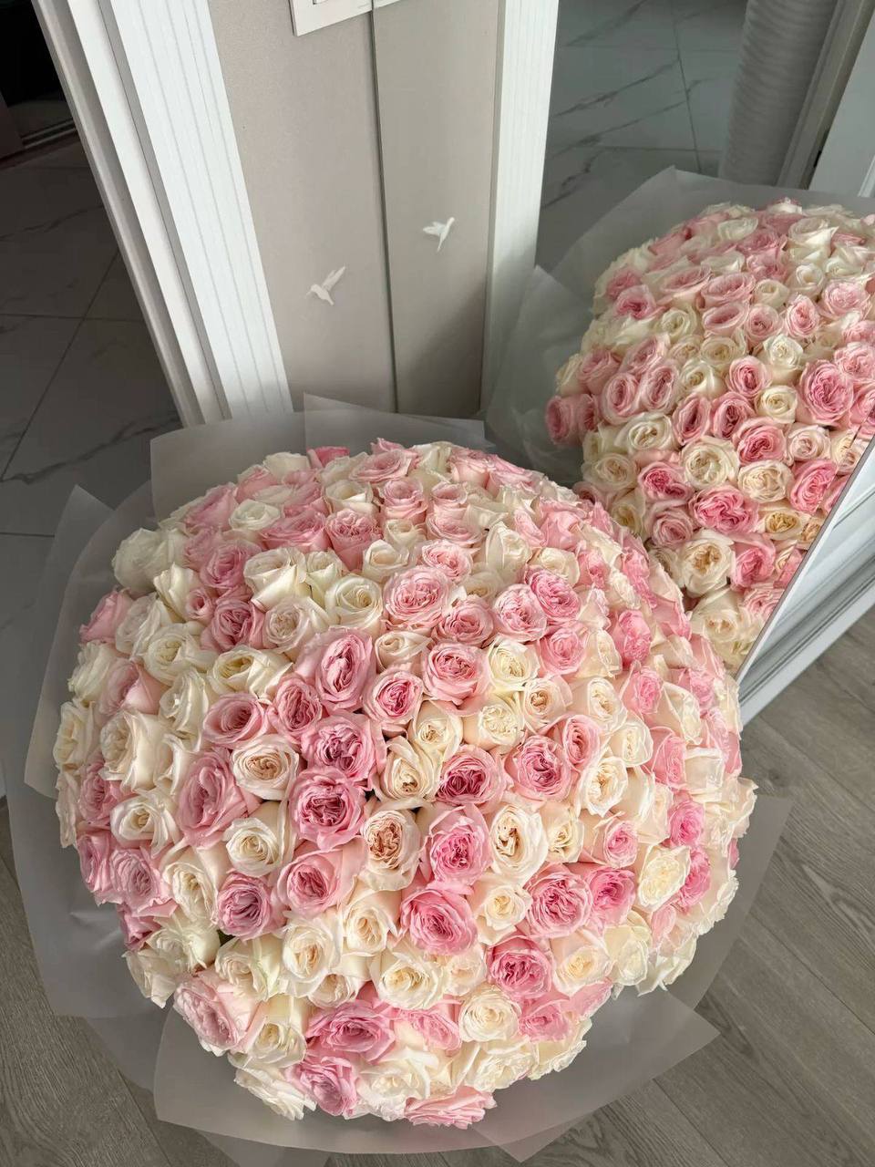 «101 піоновидна троянда Pink і White O’Hara»